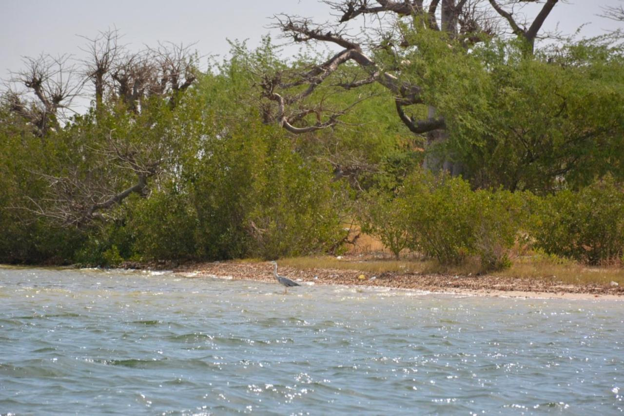 Le Pelican Du Saloum Sine-Saloum 外观 照片