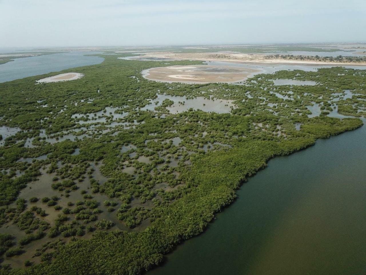 Le Pelican Du Saloum Sine-Saloum 外观 照片