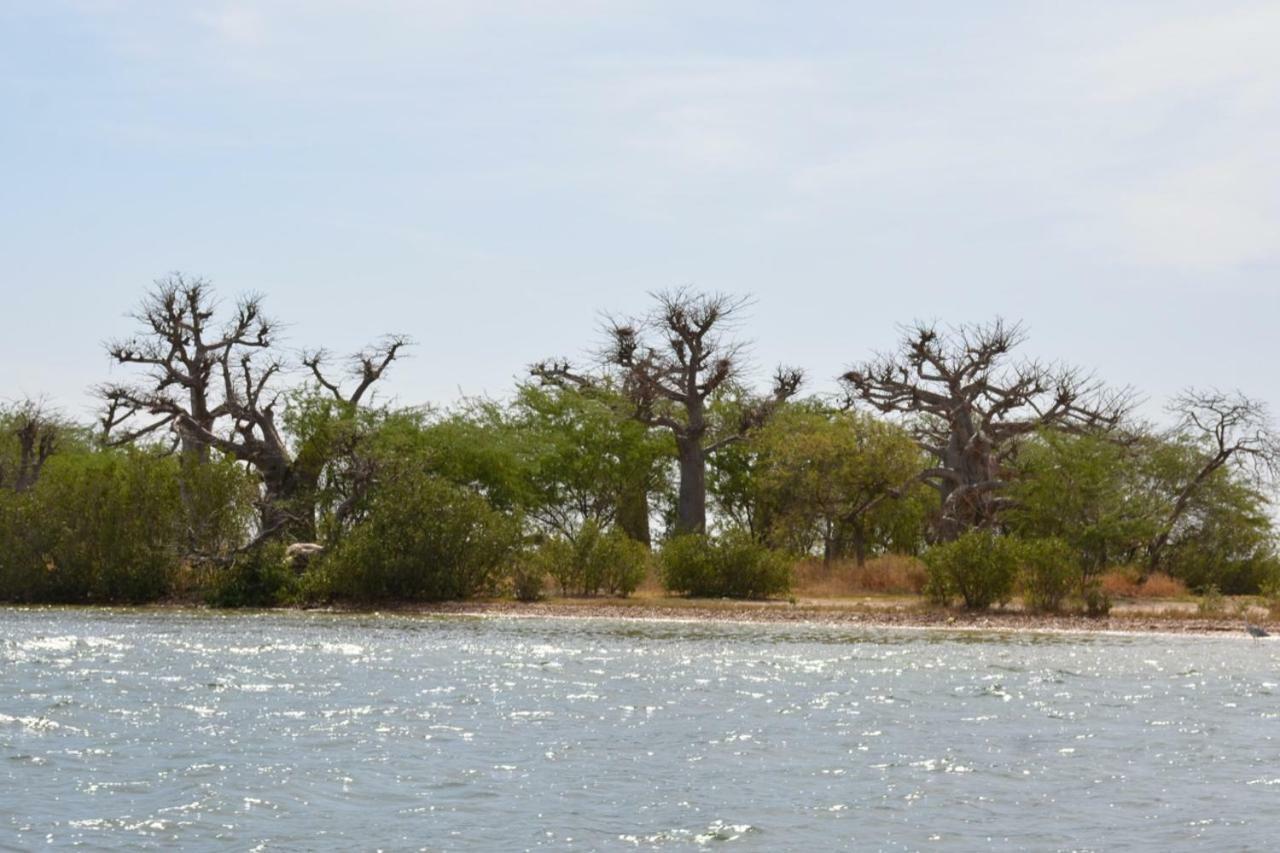 Le Pelican Du Saloum Sine-Saloum 外观 照片